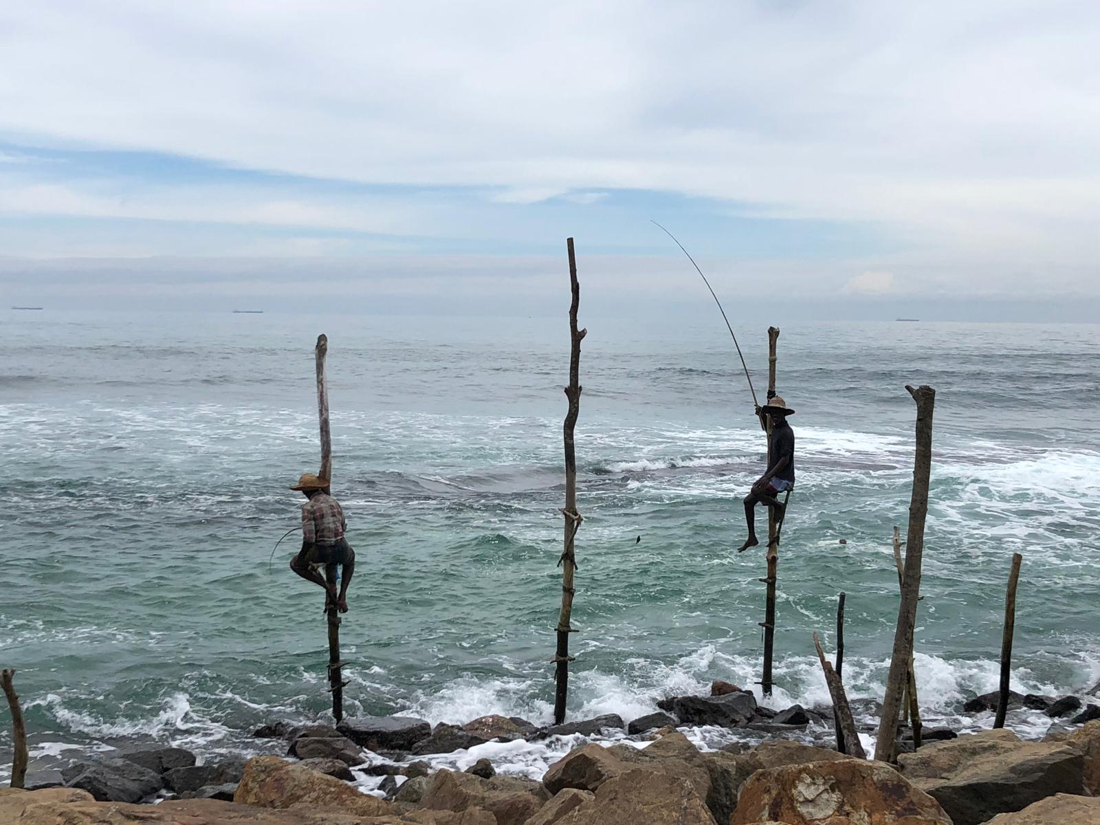 Pescadores en zancos, Sri Lanka