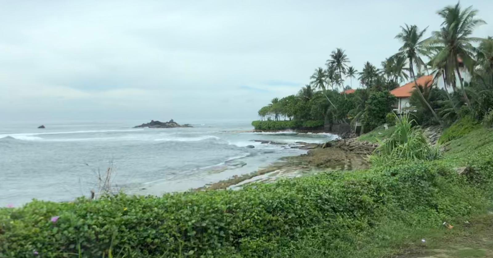 Costa de Sri Lanka con palmeras
